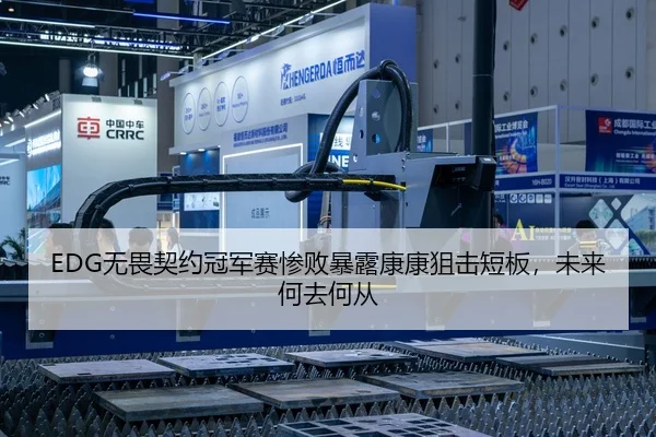 EDG无畏契约冠军赛惨败暴露康康狙击短板，未来何去何从