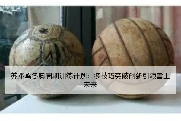 su-yi-ming-dong-ao-zhou-qi-xun-lian-ji-hua-duo-ji-qiao-tu-po-chuang-xin-yin-ling-xue-shang-wei-lai-3-945.jpg